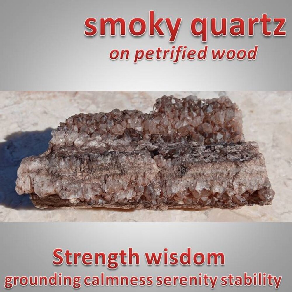 #4 petrified wood covered in smoky quartz stone rock fossil chunk